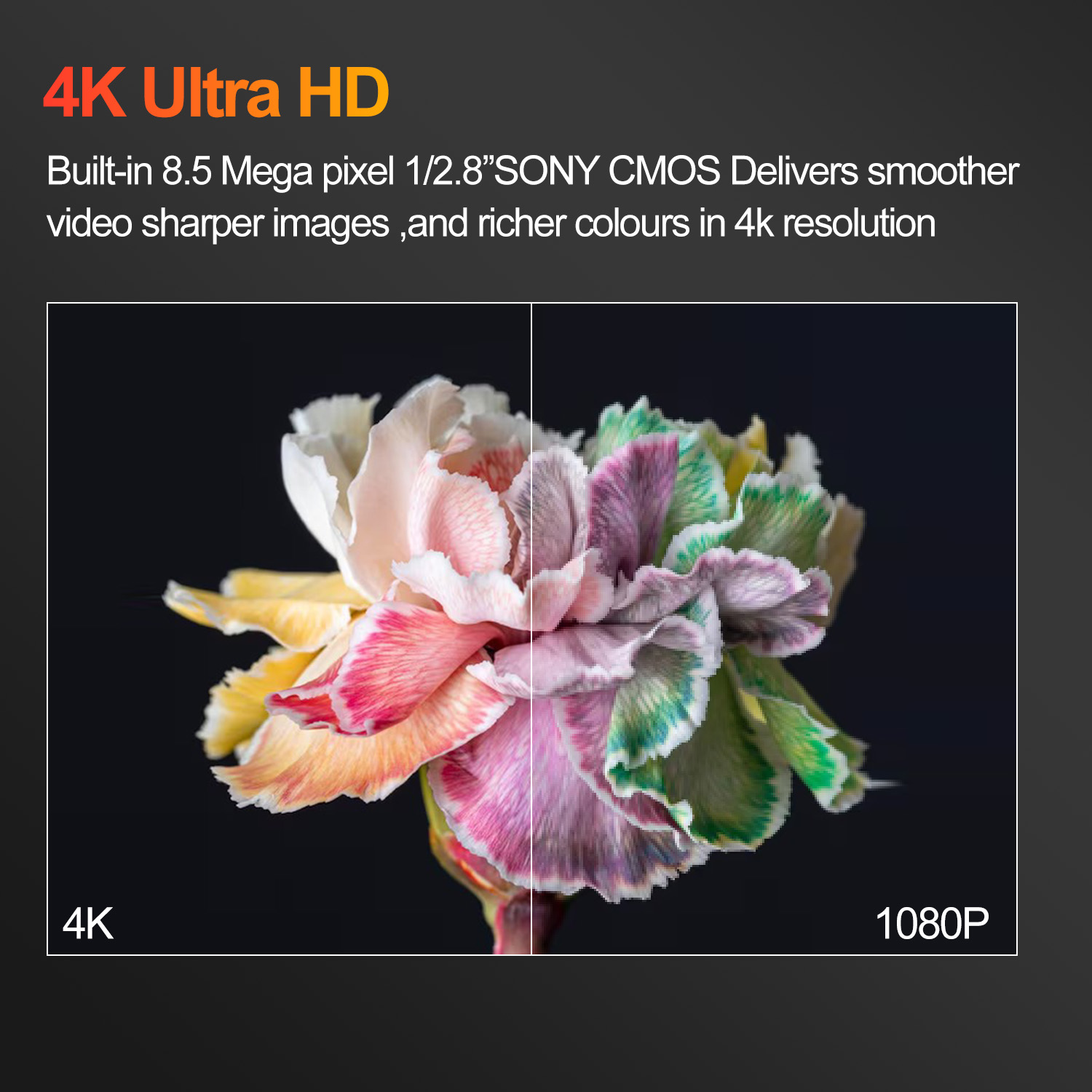 Ai-Auto Tracking 4K PTZ NDI Co - Home Security Ai 评论和价格